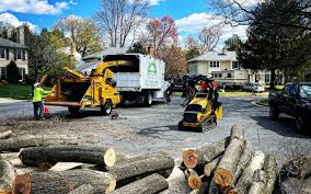 Best Tree Maintenance Programs  in Richwood, LA